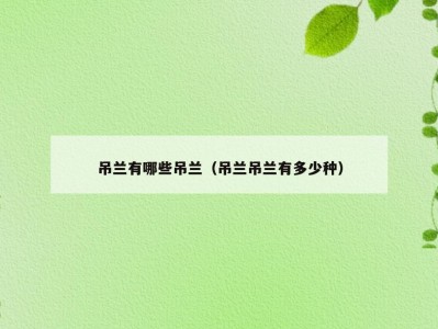吊兰有哪些吊兰（吊兰吊兰有多少种）