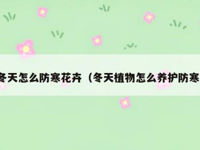 冬天怎么防寒花卉（冬天植物怎么养护防寒）