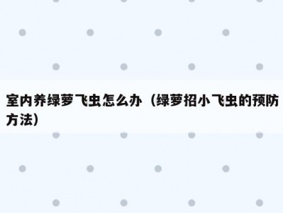 室内养绿萝飞虫怎么办（绿萝招小飞虫的预防方法）