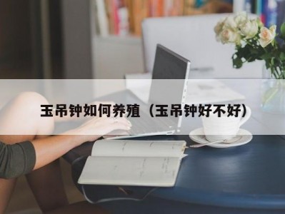 玉吊钟如何养殖（玉吊钟好不好）