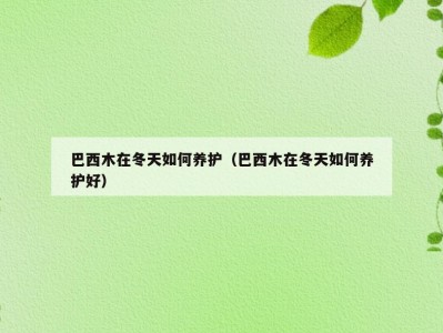 巴西木在冬天如何养护（巴西木在冬天如何养护好）