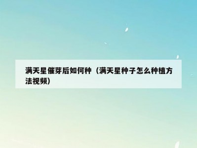 满天星催芽后如何种（满天星种子怎么种植方法视频）