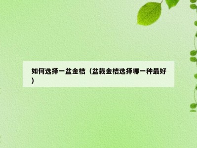 如何选择一盆金桔（盆栽金桔选择哪一种最好）
