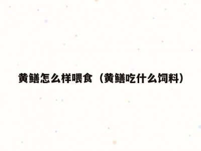 黄鳝怎么样喂食（黄鳝吃什么饲料）