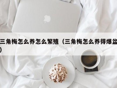 三角梅怎么养怎么繁殖（三角梅怎么养得爆盆）
