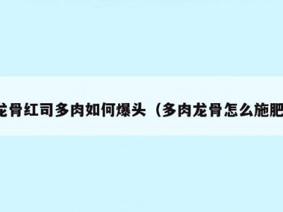 龙骨红司多肉如何爆头（多肉龙骨怎么施肥）