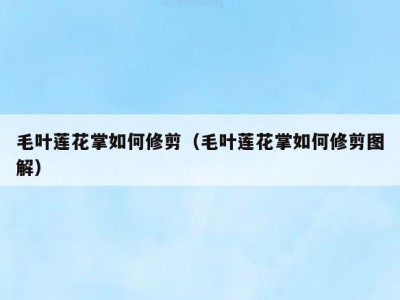 毛叶莲花掌如何修剪（毛叶莲花掌如何修剪图解）