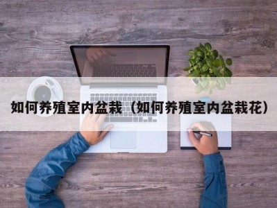 如何养殖室内盆栽（如何养殖室内盆栽花）
