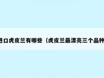 进口虎皮兰有哪些（虎皮兰最漂亮三个品种）