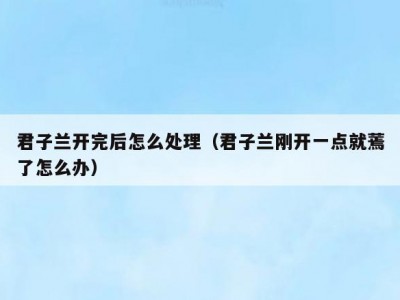 君子兰开完后怎么处理（君子兰刚开一点就蔫了怎么办）