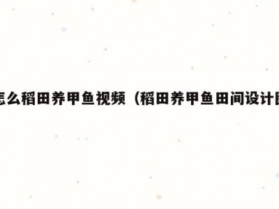 怎么稻田养甲鱼视频（稻田养甲鱼田间设计图）