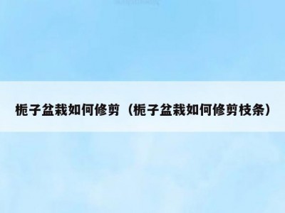 栀子盆栽如何修剪（栀子盆栽如何修剪枝条）