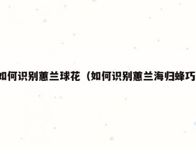 如何识别蕙兰球花（如何识别蕙兰海归蜂巧）