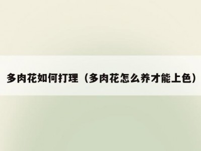 多肉花如何打理（多肉花怎么养才能上色）