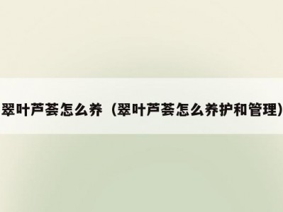 翠叶芦荟怎么养（翠叶芦荟怎么养护和管理）