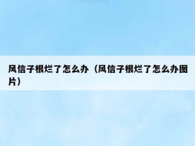 风信子根烂了怎么办（风信子根烂了怎么办图片）