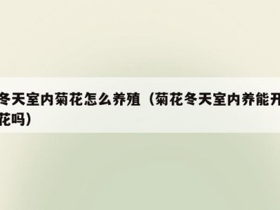 冬天室内菊花怎么养殖（菊花冬天室内养能开花吗）