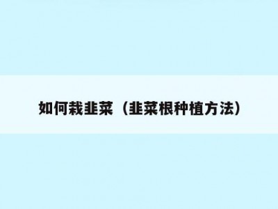 如何栽韭菜（韭菜根种植方法）