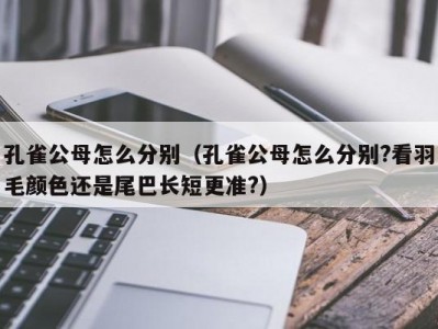 孔雀公母怎么分别（孔雀公母怎么分别?看羽毛颜色还是尾巴长短更准?）