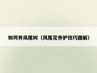 如何养凤尾树（凤尾花养护技巧图解）