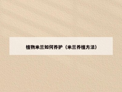 植物米兰如何养护（米兰养植方法）