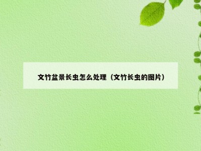 文竹盆景长虫怎么处理（文竹长虫的图片）