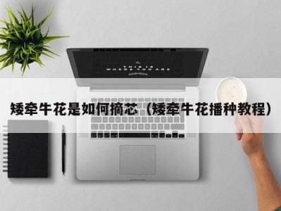 矮牵牛花是如何摘芯（矮牵牛花播种教程）