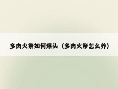 多肉火祭如何爆头（多肉火祭怎么养）