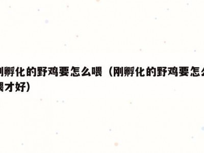 刚孵化的野鸡要怎么喂（刚孵化的野鸡要怎么喂才好）