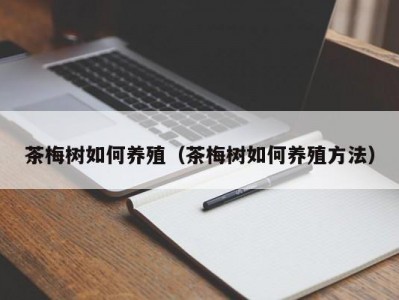 茶梅树如何养殖（茶梅树如何养殖方法）