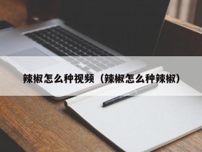 辣椒怎么种视频（辣椒怎么种辣椒）