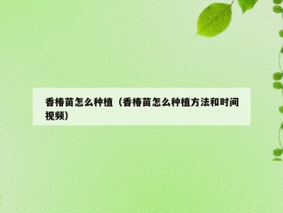 香椿苗怎么种植（香椿苗怎么种植方法和时间视频）