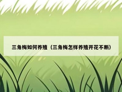 三角梅如何养殖（三角梅怎样养殖开花不断）
