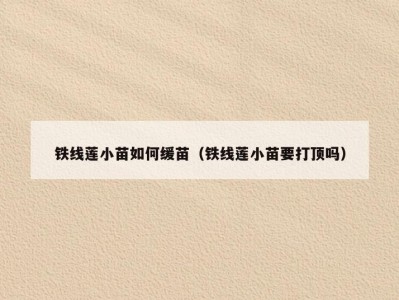 铁线莲小苗如何缓苗（铁线莲小苗要打顶吗）