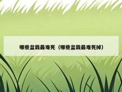 哪些盆栽最难死（哪些盆栽最难死掉）