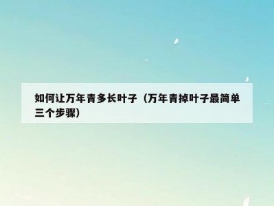 如何让万年青多长叶子（万年青掉叶子最简单三个步骤）