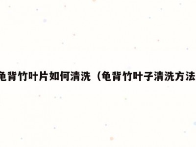 龟背竹叶片如何清洗（龟背竹叶子清洗方法）