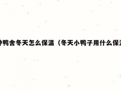 种鸭舍冬天怎么保温（冬天小鸭子用什么保温）
