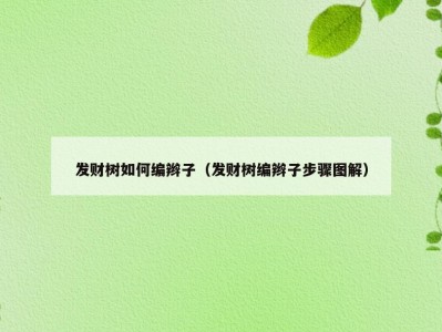 发财树如何编辫子（发财树编辫子步骤图解）