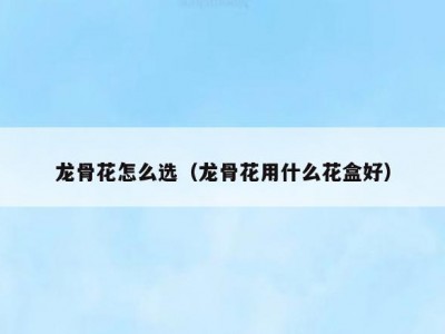 龙骨花怎么选（龙骨花用什么花盒好）