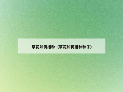 草花如何播种（草花如何播种种子）