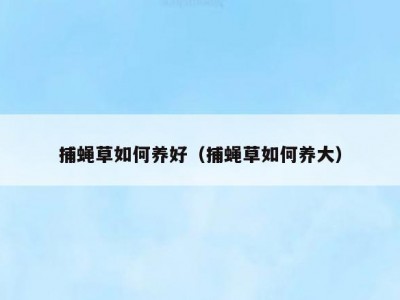 捕蝇草如何养好（捕蝇草如何养大）