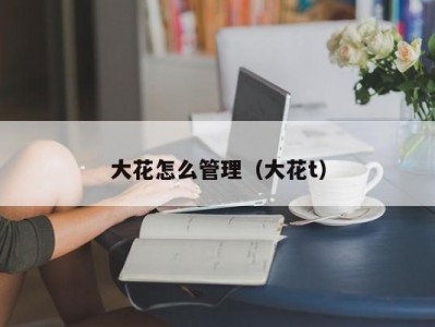 大花怎么管理（大花t）