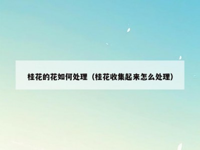 桂花的花如何处理（桂花收集起来怎么处理）