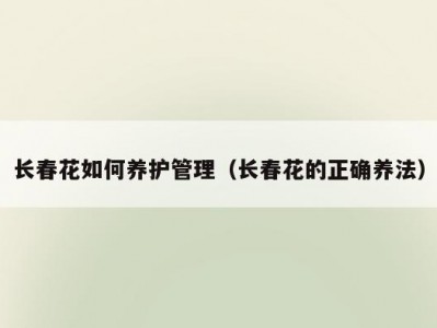长春花如何养护管理（长春花的正确养法）