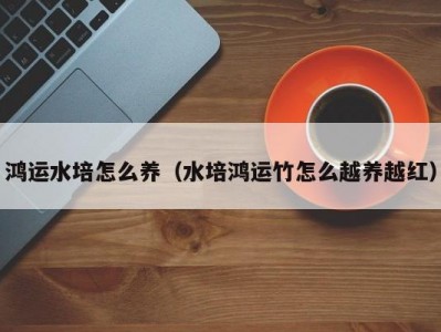 鸿运水培怎么养（水培鸿运竹怎么越养越红）