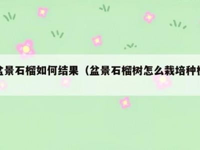 盆景石榴如何结果（盆景石榴树怎么栽培种植）