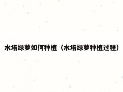 水培绿萝如何种植（水培绿萝种植过程）