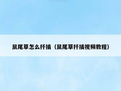 鼠尾草怎么扦插（鼠尾草扦插视频教程）