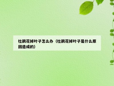 杜鹃花掉叶子怎么办（杜鹃花掉叶子是什么原因造成的）